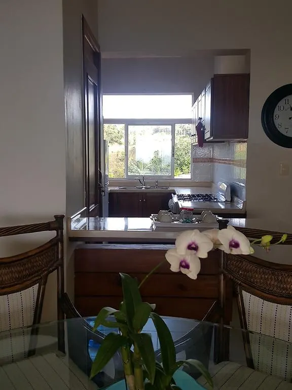 Hidden Paradise At Apto Del Cerro Apartment Samana